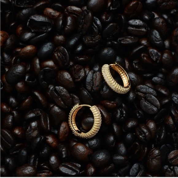 Gold 14k Gold Plated Textured Cubic Zirconia Hoop Earrings - Picture 4 of 4